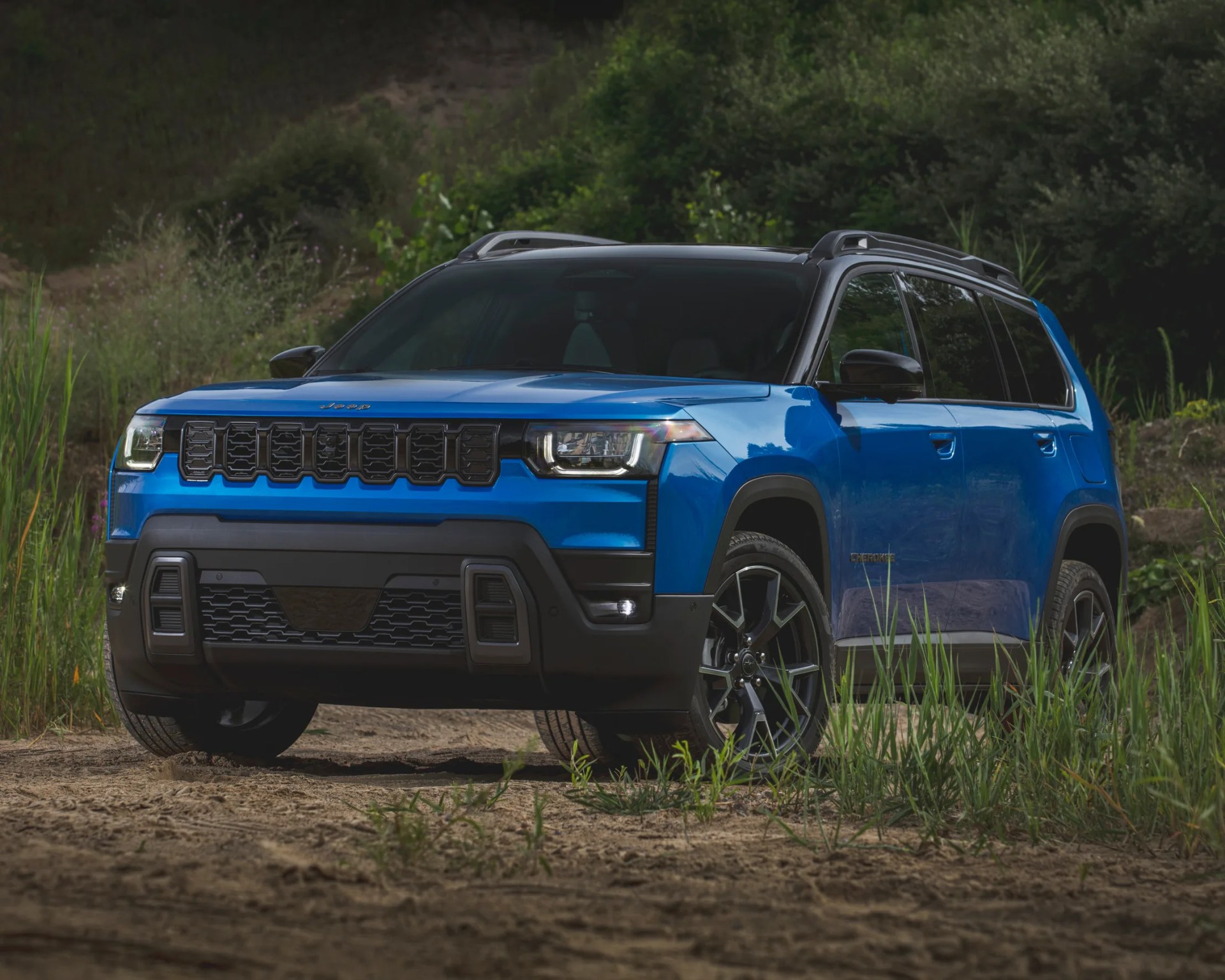 Blue Jeep Cherokee SUV with black roof and black trim, parked on a dirt path surrounded by tall grass and greenery. The vehicle features a distinctive front grille with seven slots and modern LED headlights.