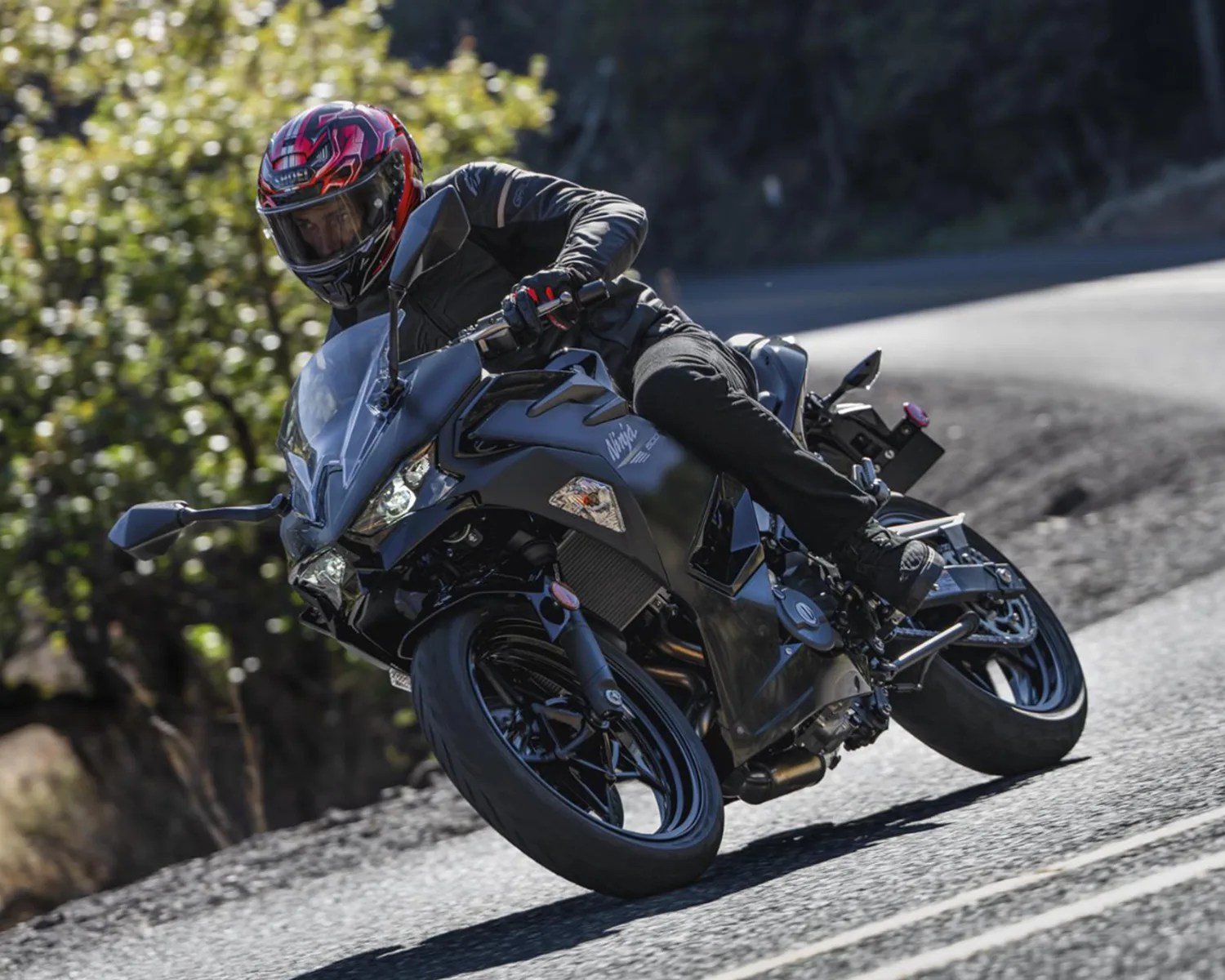 2026 kawasaki ninja 500 action