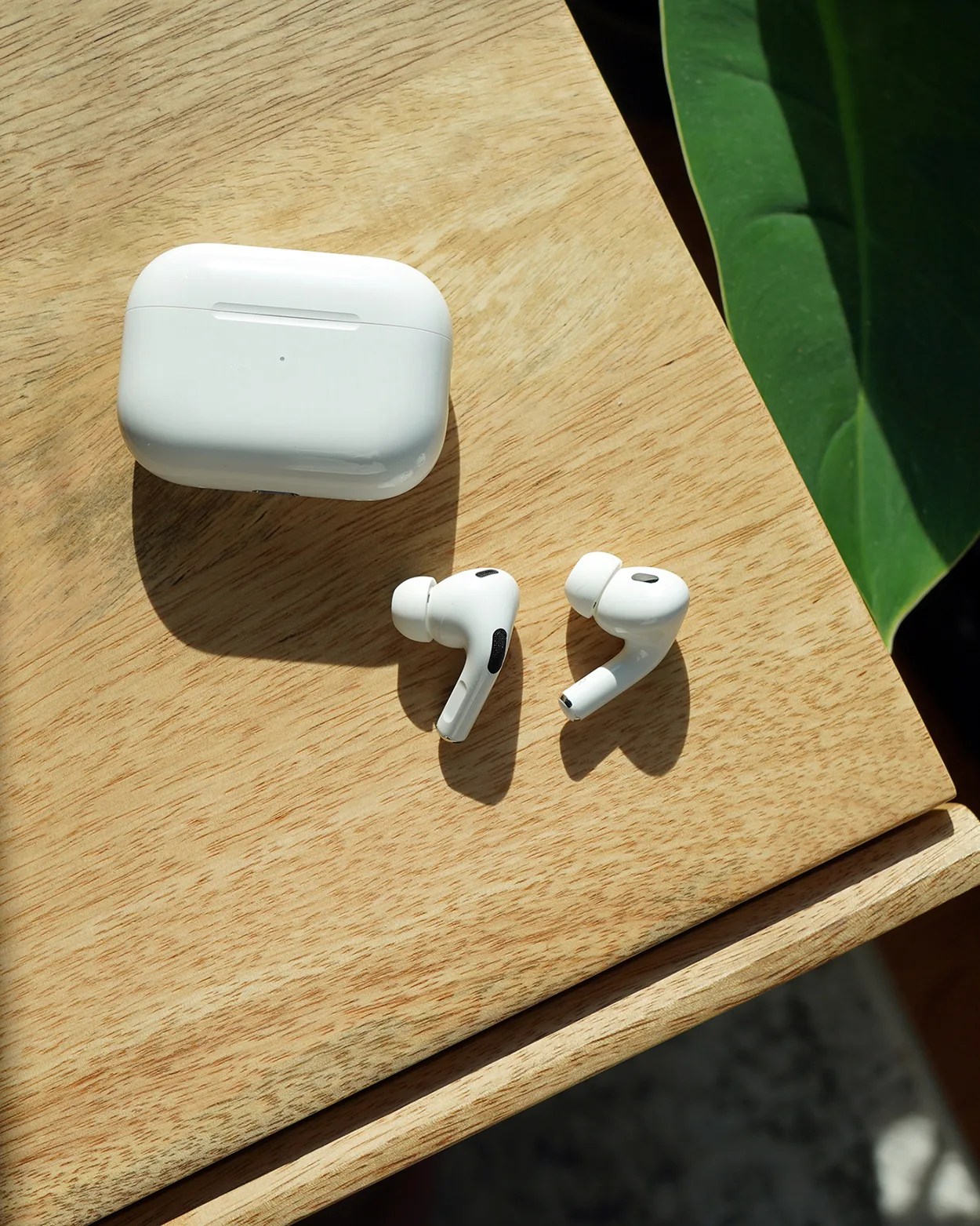 White wireless earbuds with a matching charging case placed on a light wooden surface, with a large green leaf partially visible on the right side. The earbuds have silicone tips and black speaker grills.