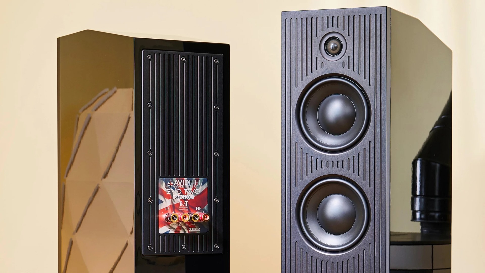 Avid Evo Two floorstanding loudspeakers