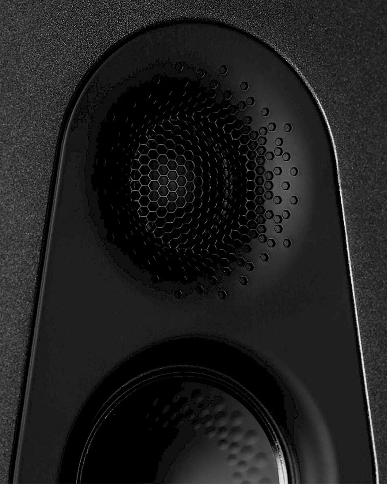 Close-up of a black speaker with a honeycomb-patterned grille covering the tweeter at the top and a smooth, rounded woofer below it, both set within a matte black enclosure.