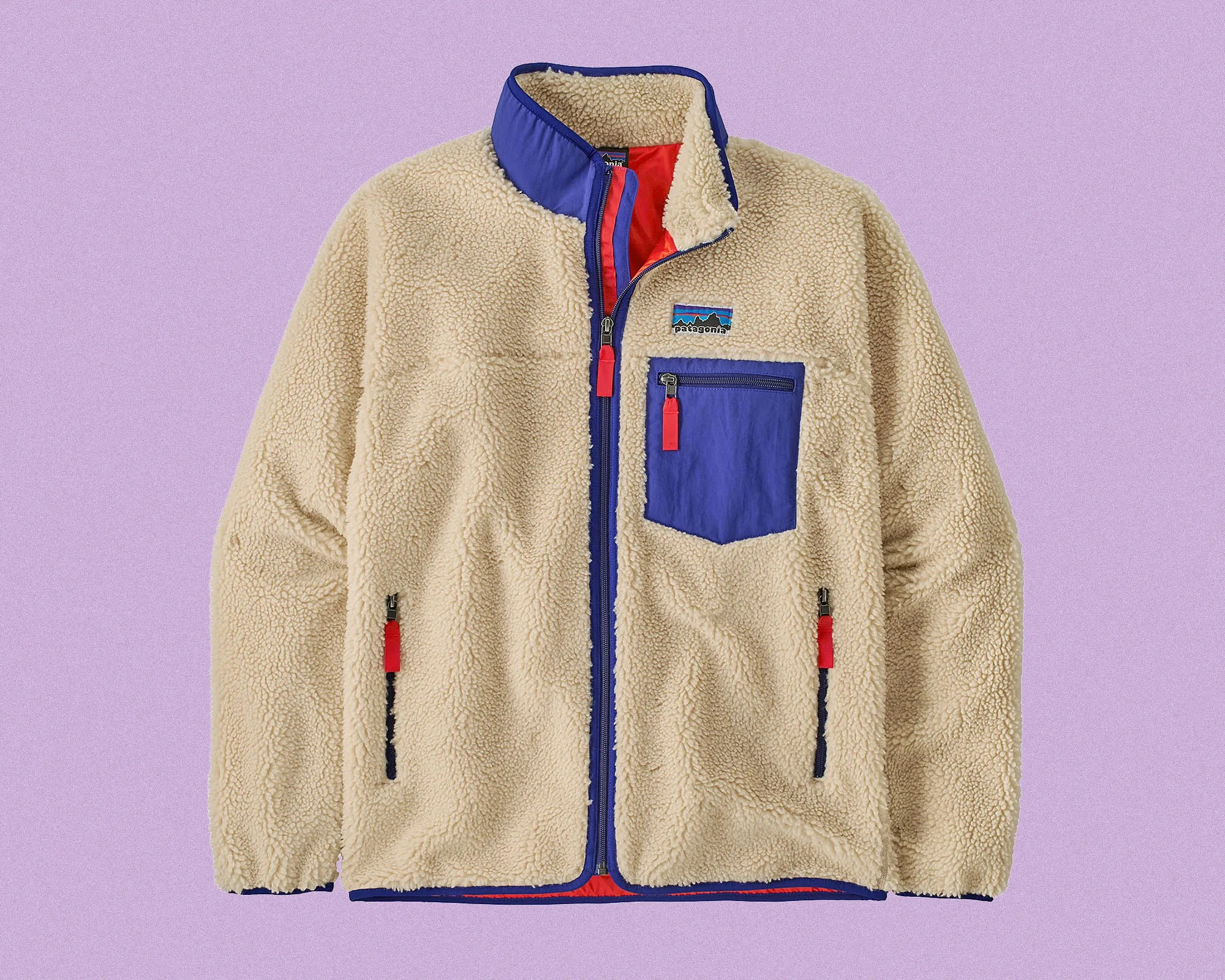 Patagonia Classic Retro X-Fleece