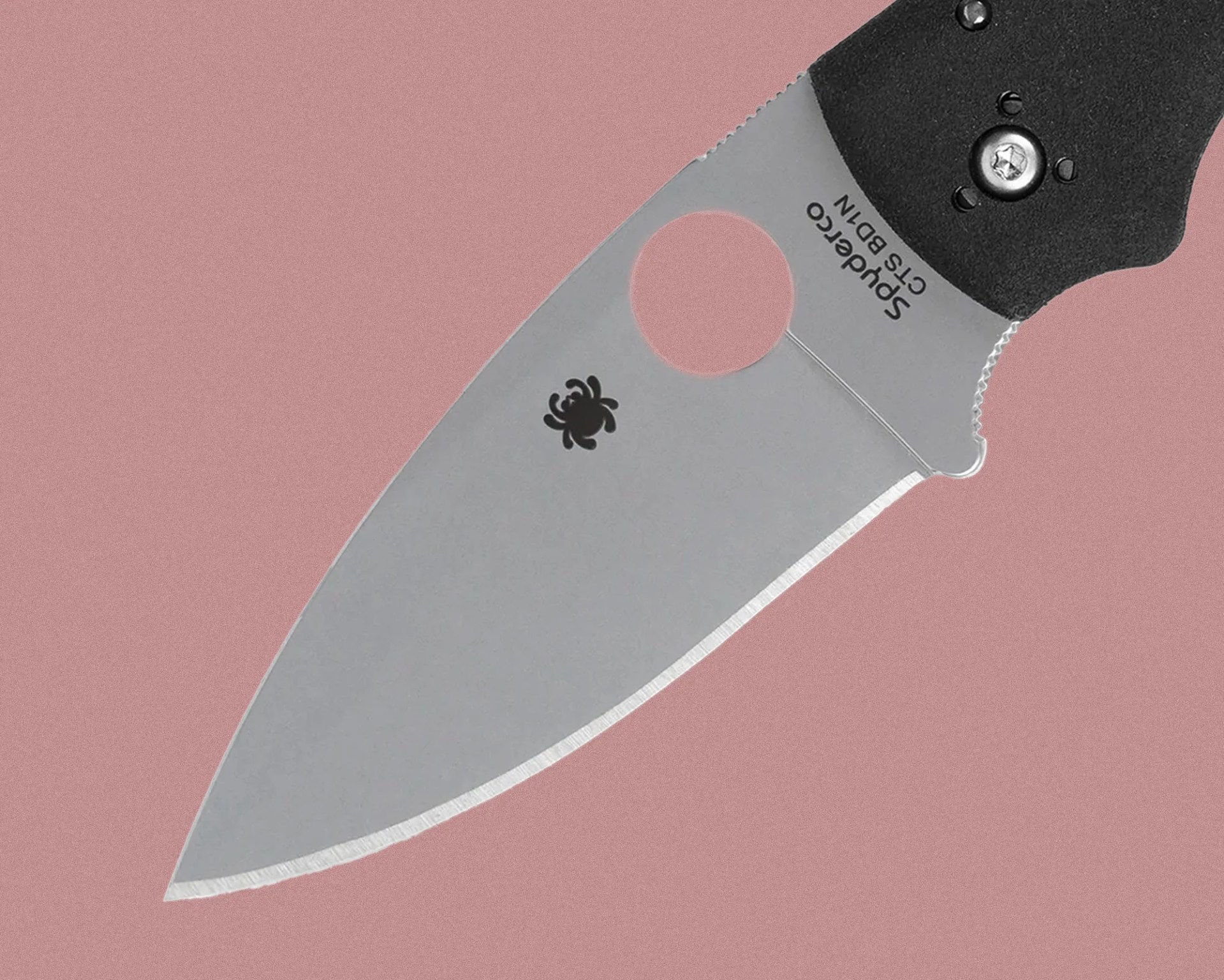 Close-up of a Spyderco folding knife blade made of CTS BD1N steel, featuring a round thumb hole near the handle and the Spyderco spider logo on the blade. The handle is black with visible screws.