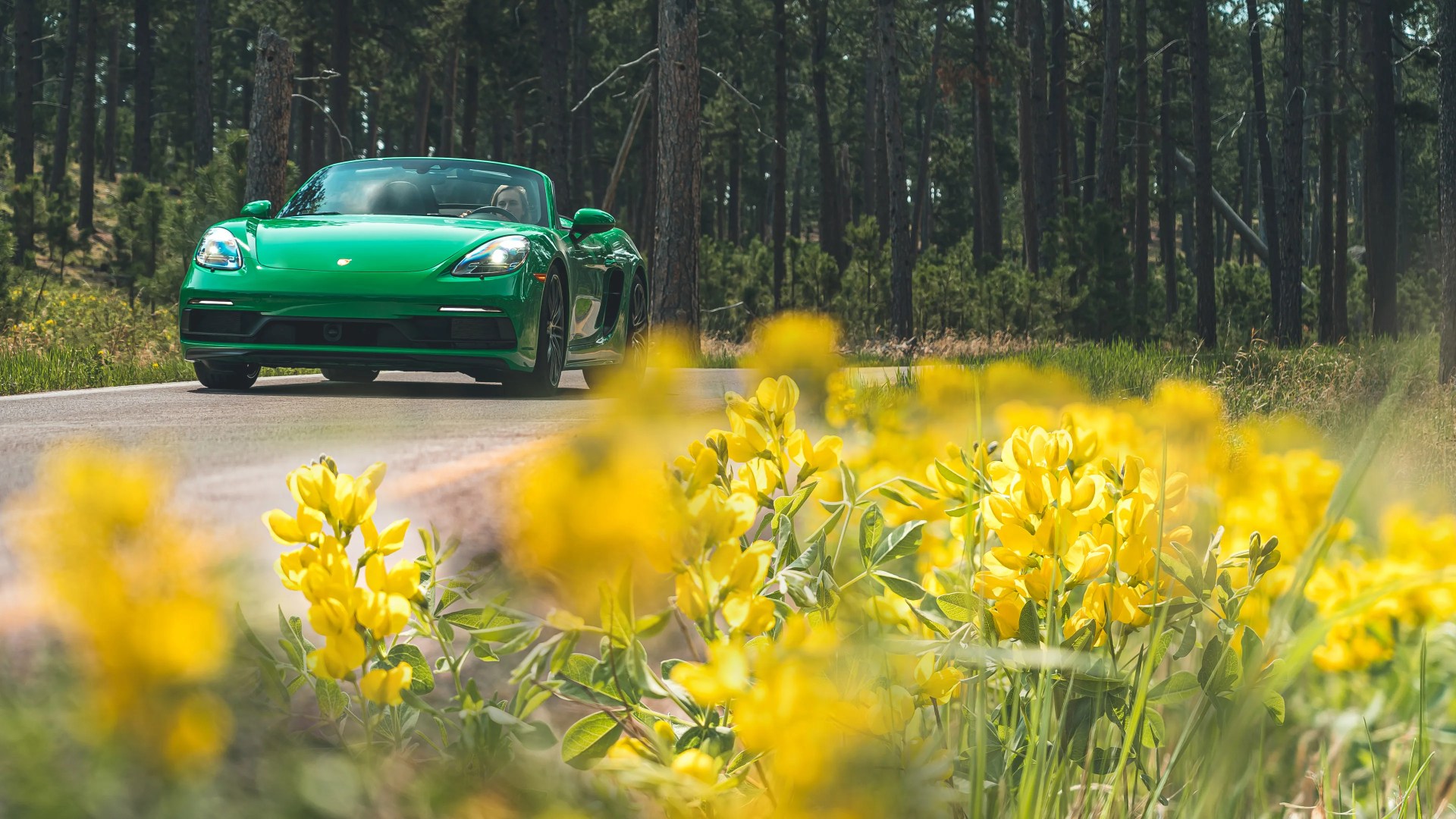 Green convertible sports car driving on a forest road with yellow wildflowers in the foreground.