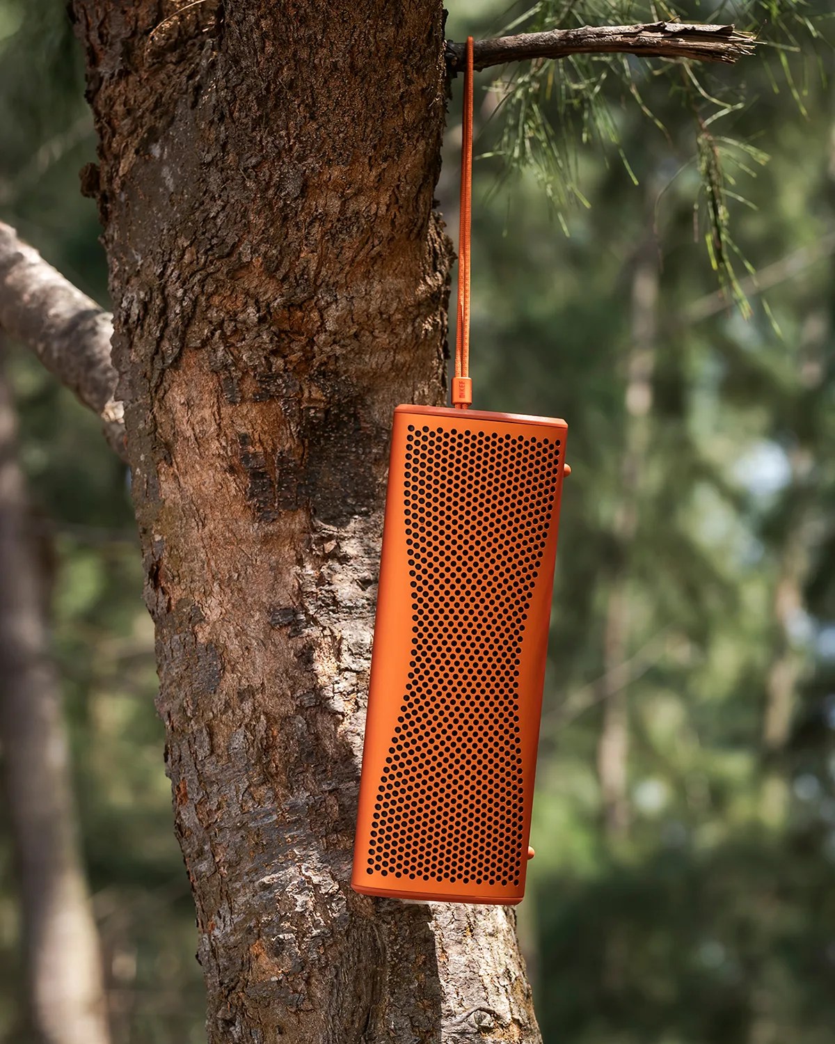 Orange portable speaker hanging from a tree branch outdoors, with a textured grille design and a matching orange strap. The background shows a blurred natural forest setting.