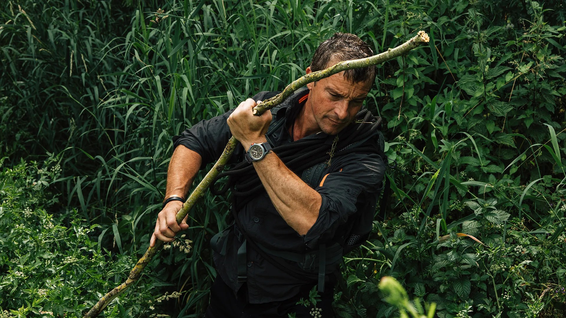 Man in black shirt holding a large stick in dense green foliage.