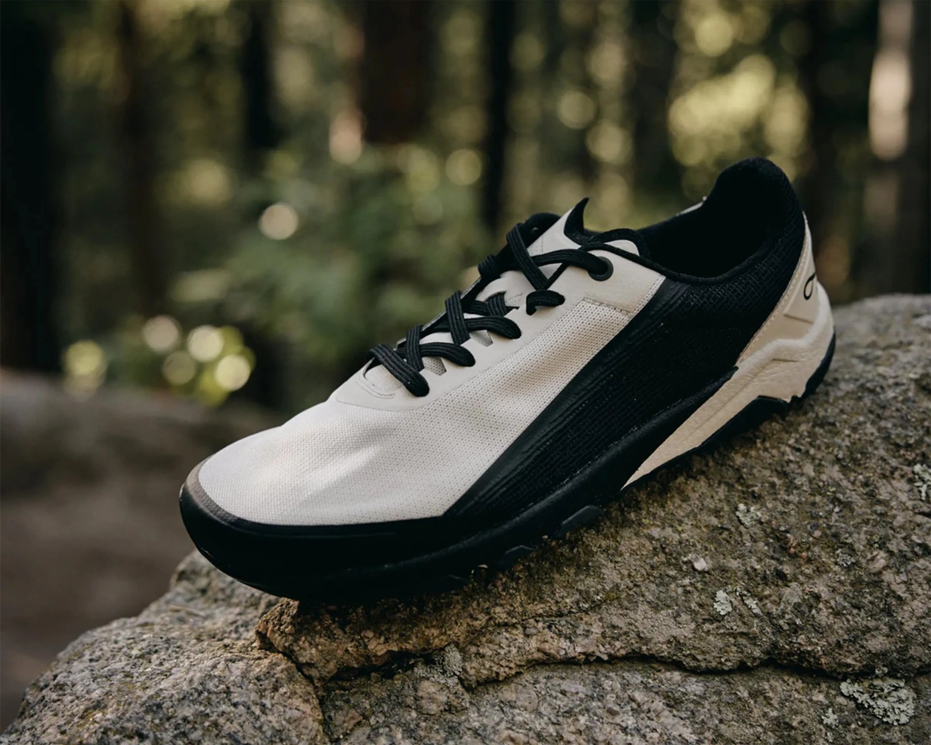 A black and white athletic shoe with black laces resting on a textured rock surface, set against a blurred natural background with green foliage. The shoe features a white upper with black accents along the sides and sole.