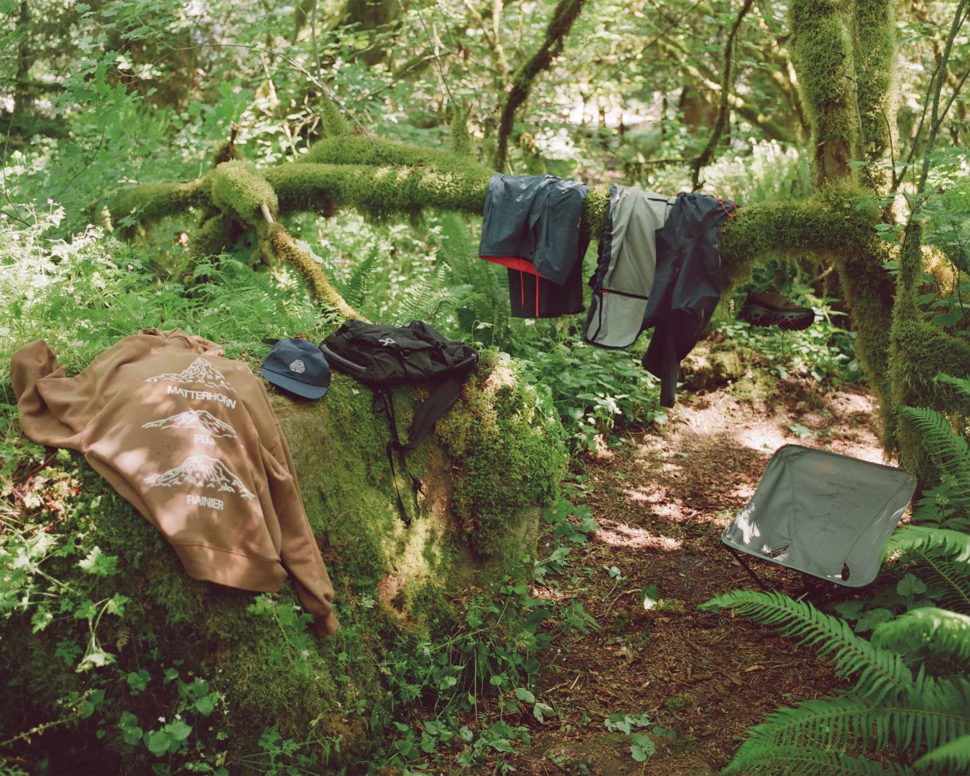 camp gear set up in the woods