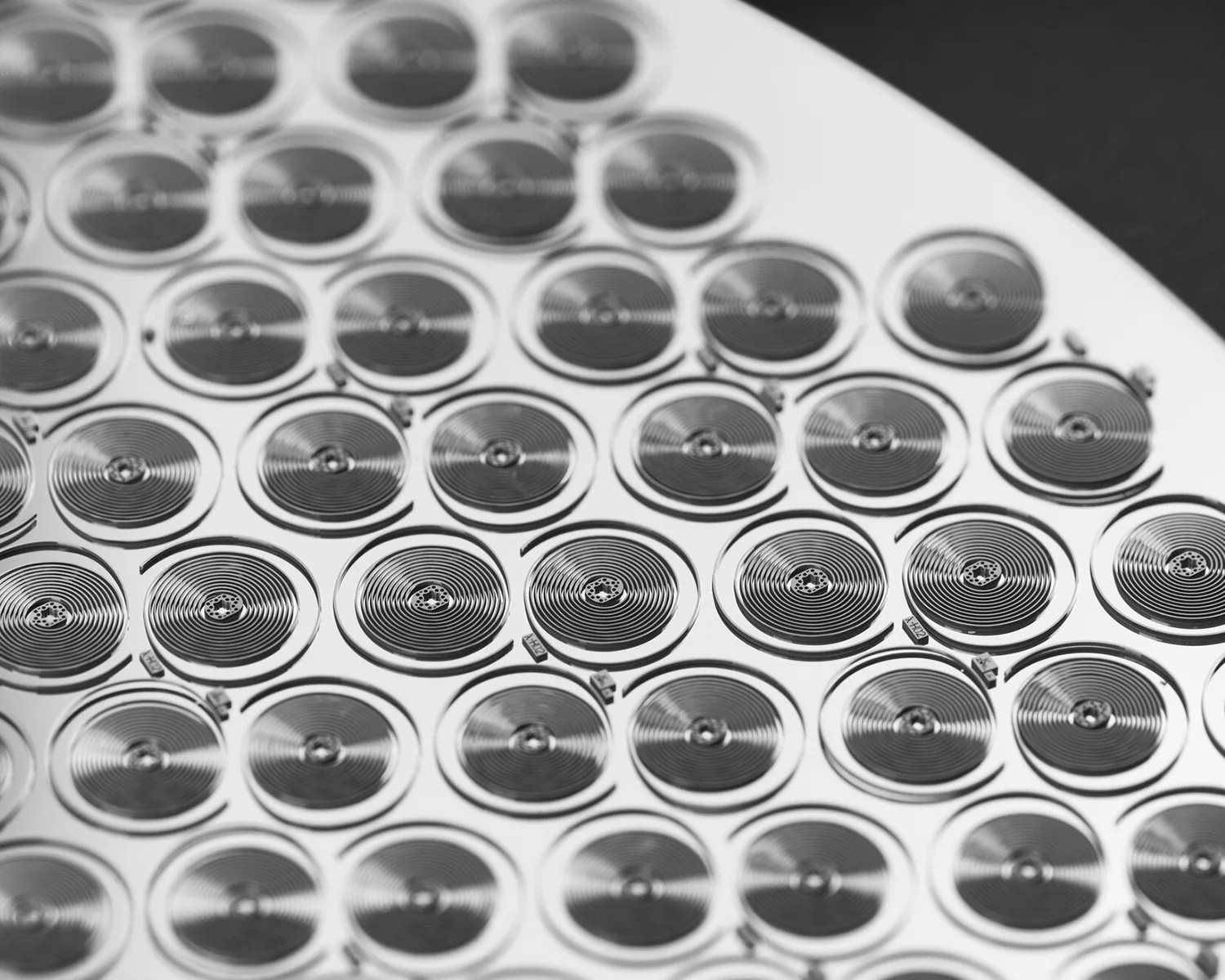 Close-up of multiple small, circular, mechanical watch hairsprings arranged in a grid pattern on a reflective surface. Each coil has tightly wound concentric rings with a small central hub, resembling precision-engineered components. The image is in black and white, highlighting the texture and detail of the coils.