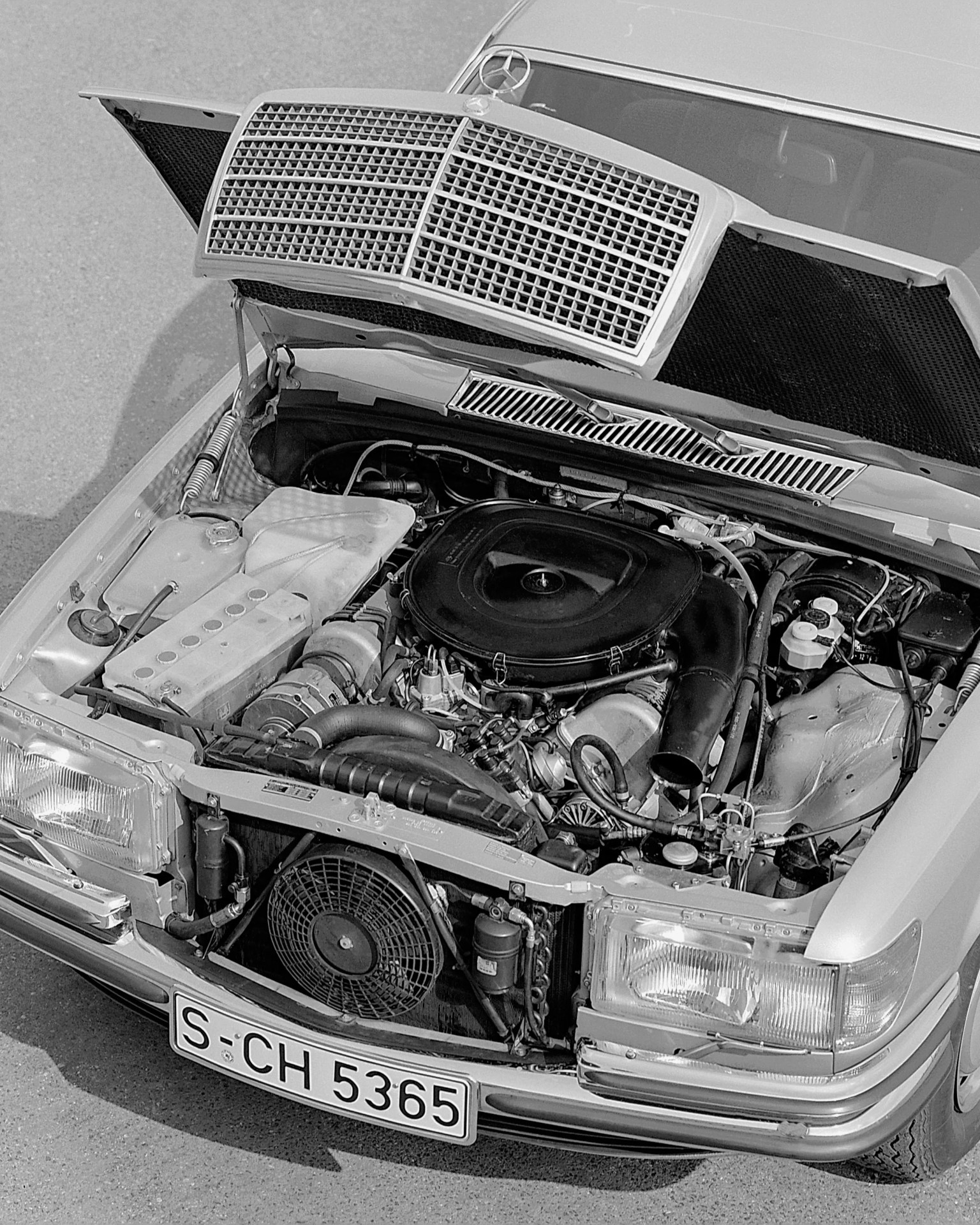 Open hood of a vintage Mercedes-Benz car showing the engine and front grille with license plate S-CH 5365.