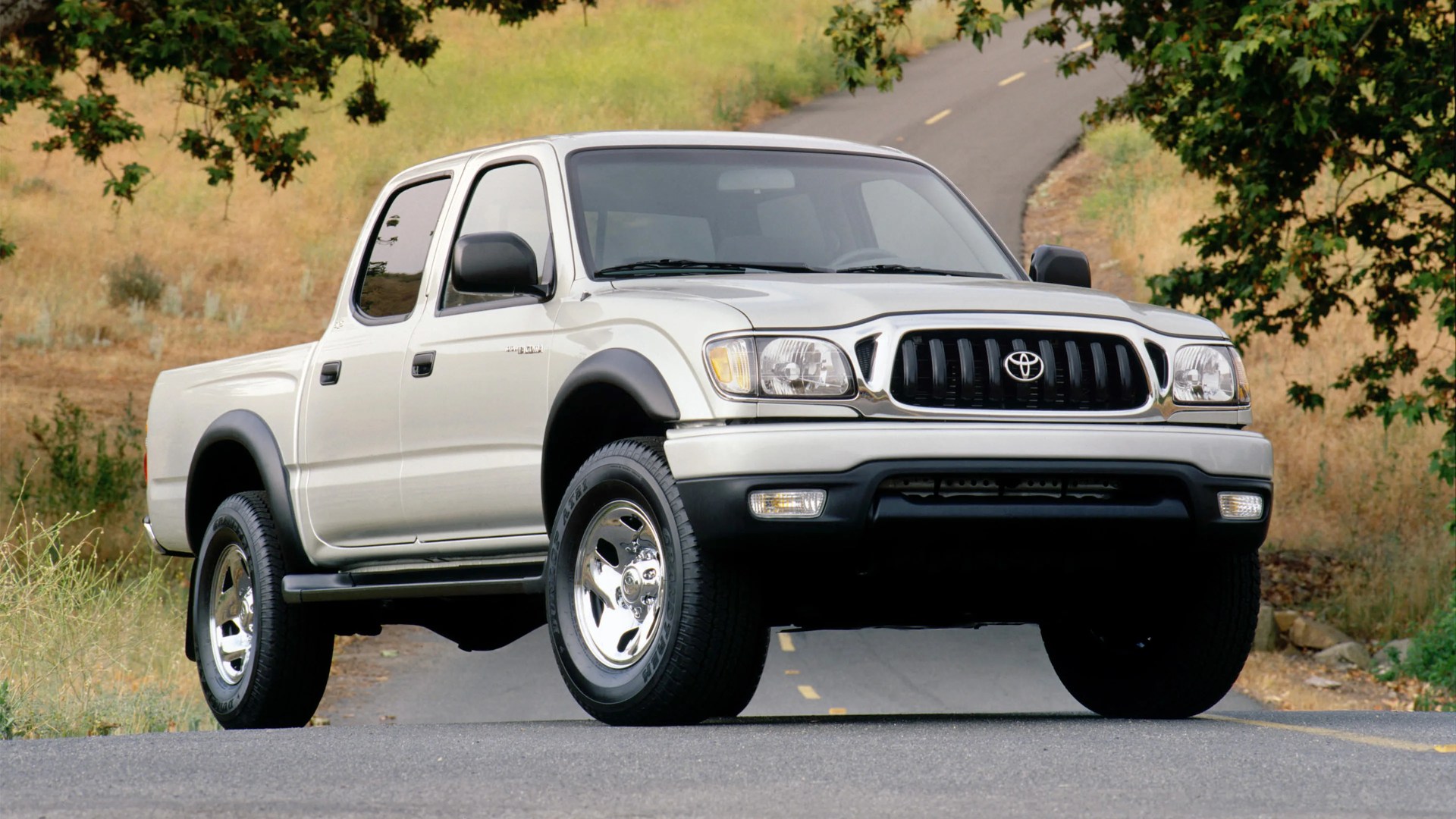 White Toyota Tacoma pickup truck parked on a rural road with green and dry grass in the background.