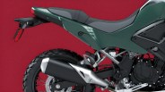 Rear side view of a green motorcycle with black exhaust and knobby rear tire against a red background.