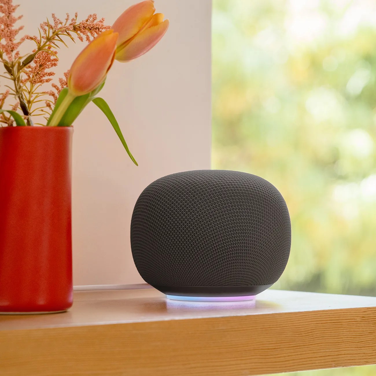 Black mesh smart speaker with glowing base on a wooden shelf next to a red vase with orange tulips.