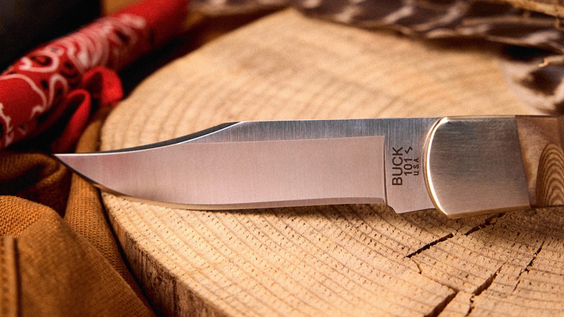 Close-up of a Buck 101 USA fixed blade knife with a wooden handle resting on a tree stump.
