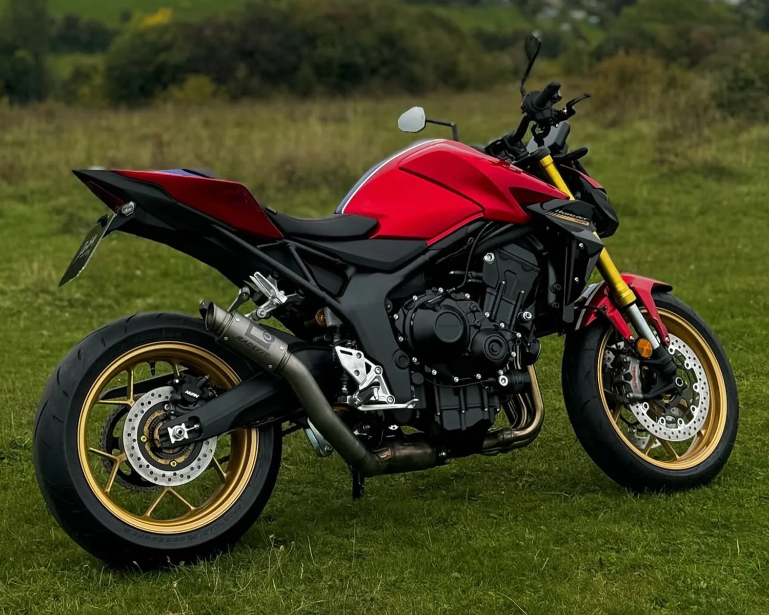 Red and black sport motorcycle with gold rims parked on grass.