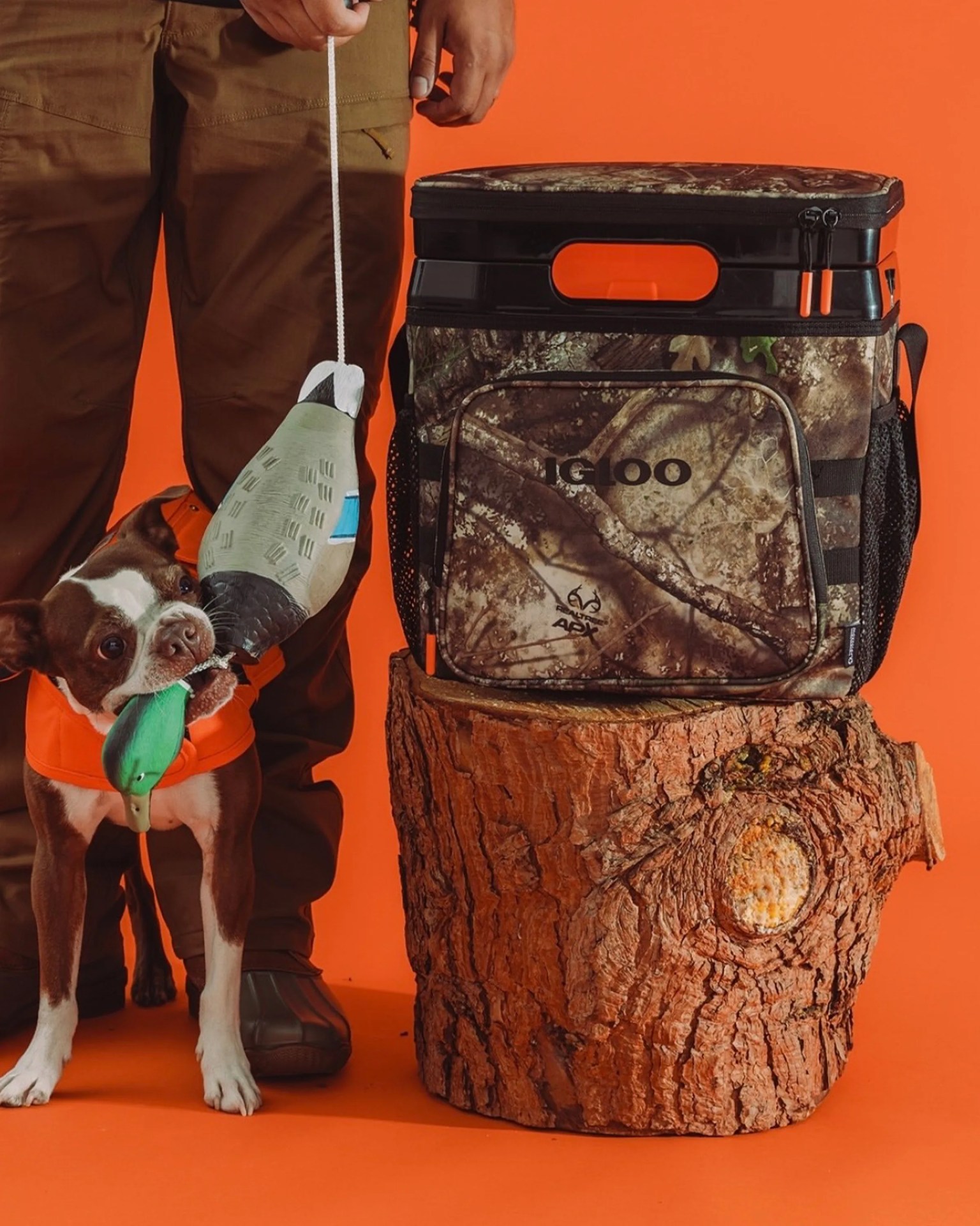 Camouflage Igloo cooler bag with black plastic handle on a tree stump next to a dog biting a duck decoy held by a person in brown pants.