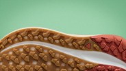 Close-up of a shoe sole with brown and red rubber treads on a green background.