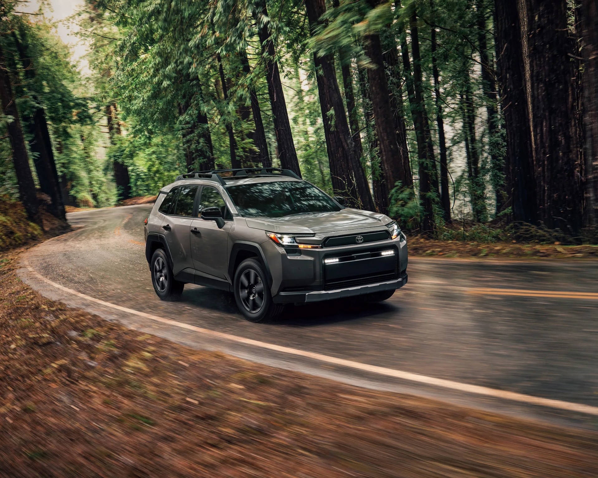 Gray Toyota SUV driving on a winding forest road surrounded by tall green trees.