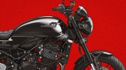 Black Kawasaki motorcycle tank and front fork against a red background.