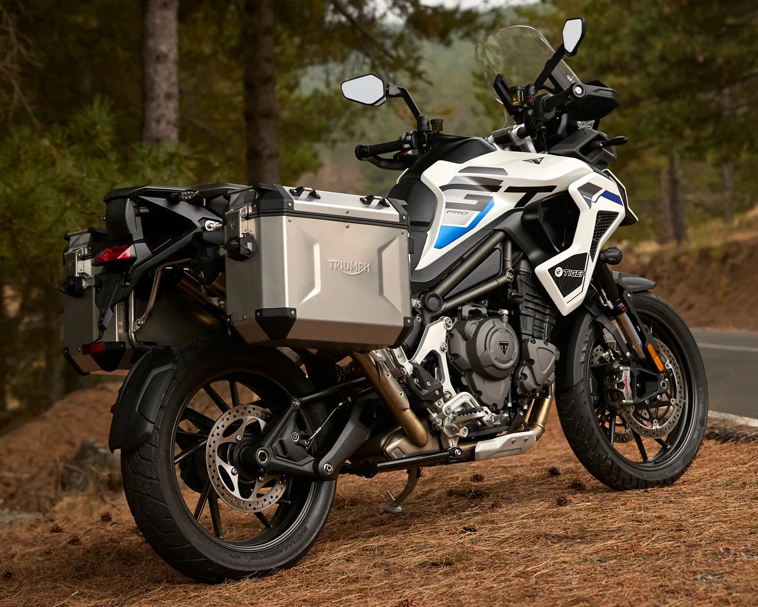 White and black Triumph Tiger GT Pro motorcycle with silver side panniers parked on pine needle-covered ground near a forest road.