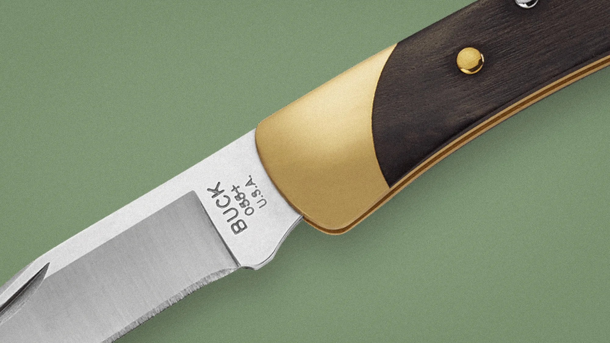 Close-up of a Buck 088 folding knife blade and brass bolster with dark wooden handle on a green background.