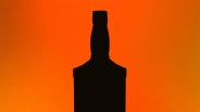Silhouette of a bottle with a narrow neck and cap against an orange gradient background.