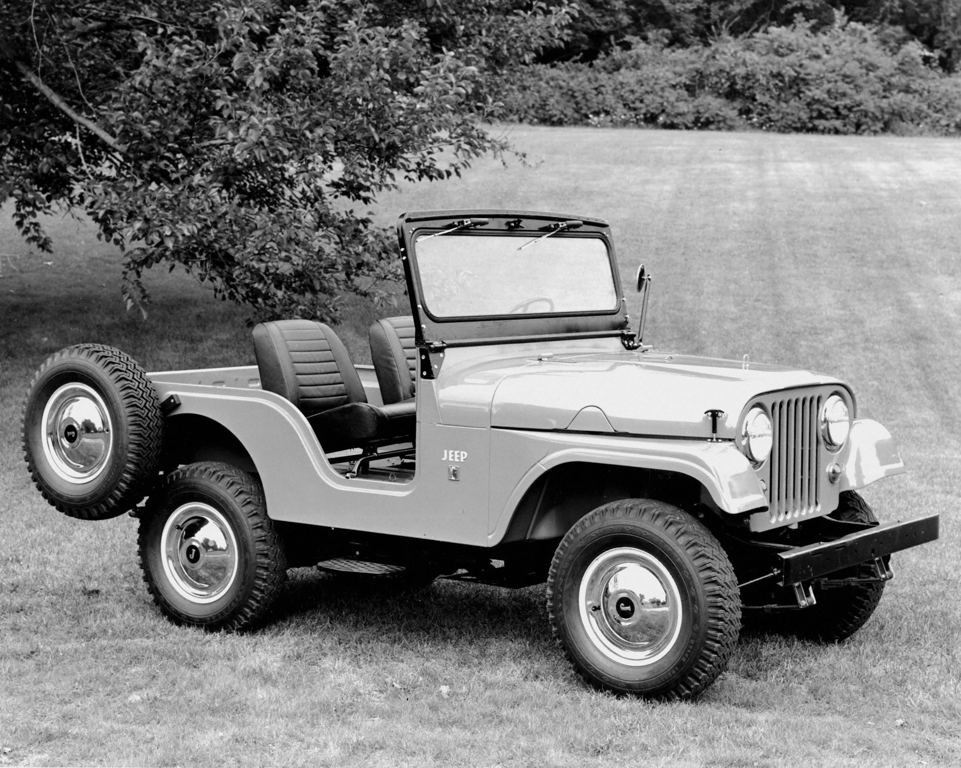 Classic open-top Jeep with two front seats and spare tire mounted on the rear, parked on grass.