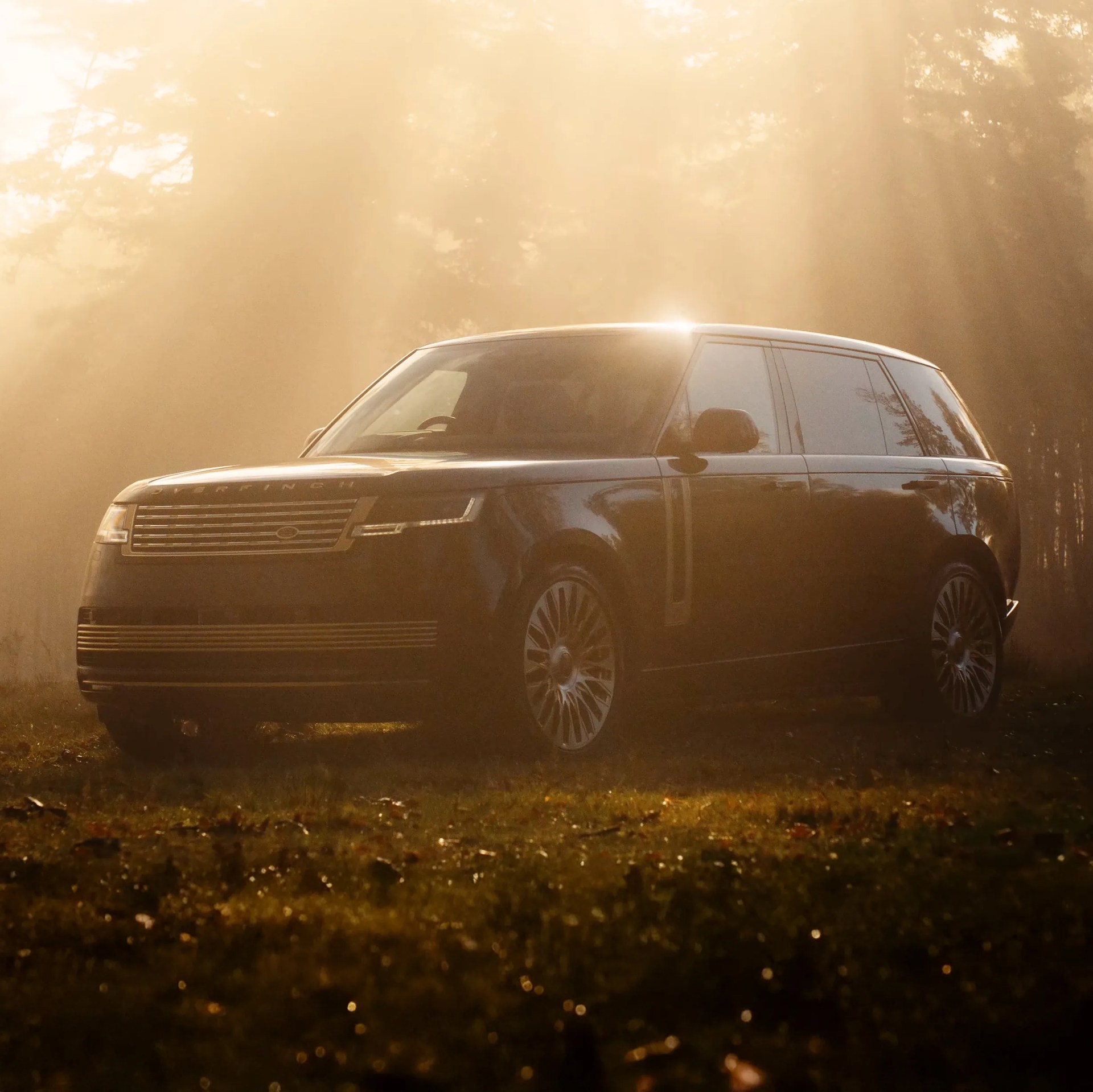 Black Range Rover SUV parked on grass with sunlight filtering through trees in the background.