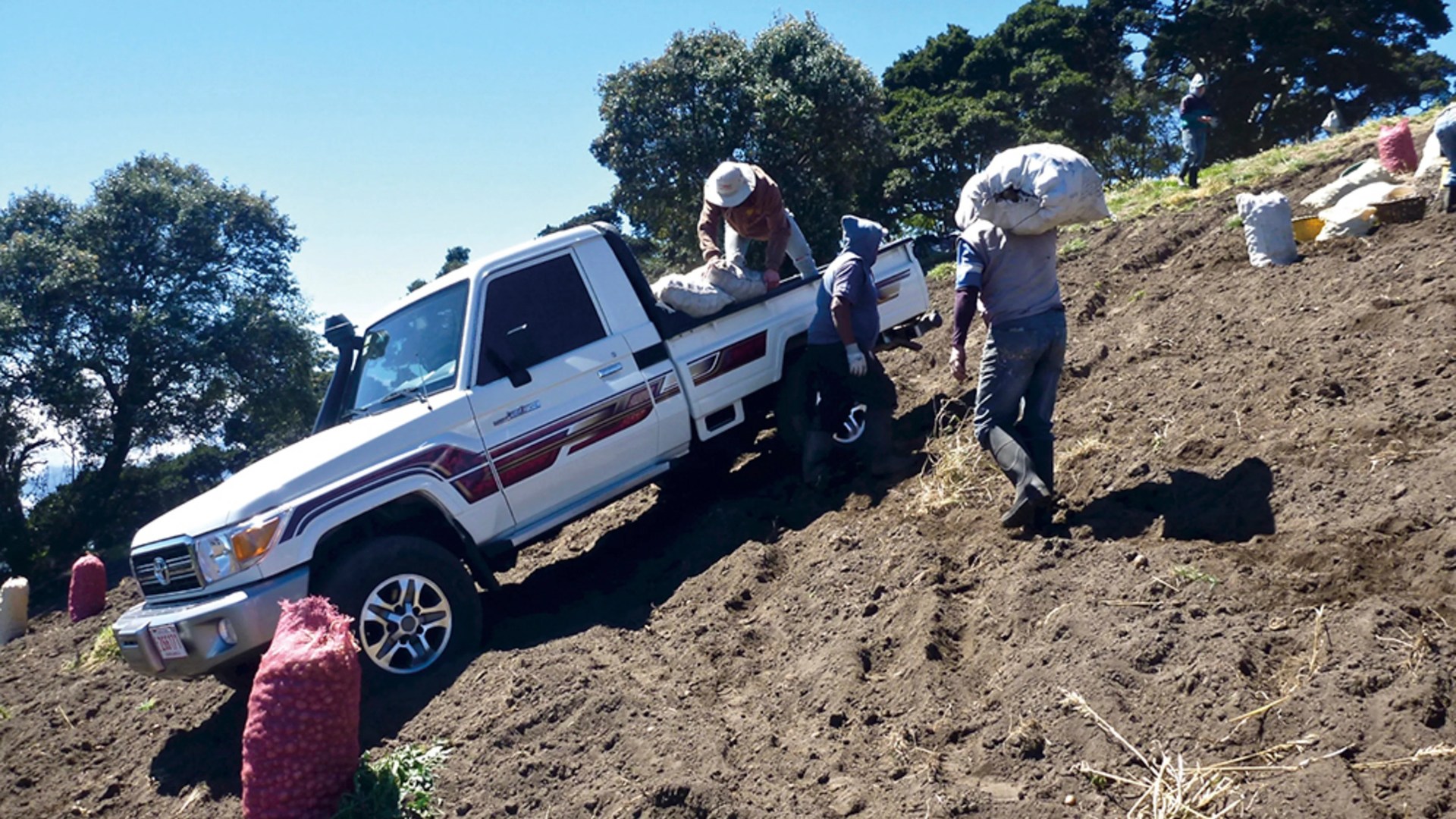 White pickup truck parked on a steep dirt hill with people carrying large sacks.