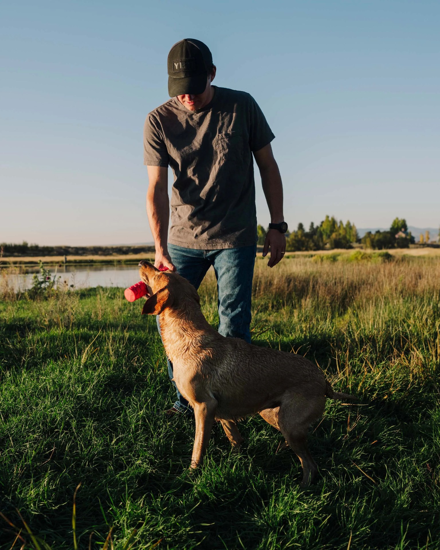 Man in a black cap and gray t-shirt playing with a wet golden retriever holding a red toy in a grassy field.