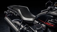 Close-up of the rear and seat area of a black Harley-Davidson 1250 S motorcycle with red accents.