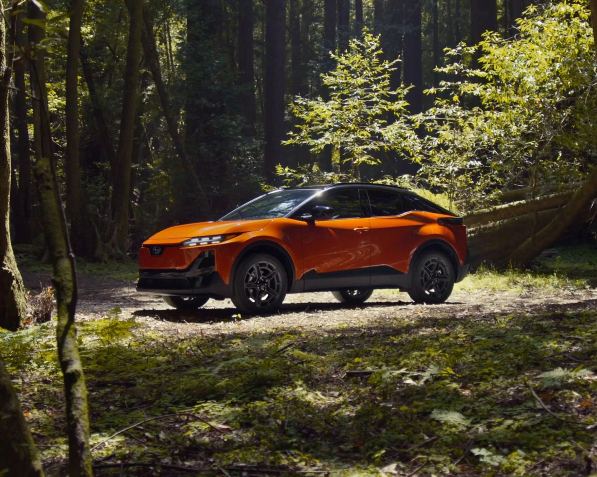 Orange and black compact SUV parked on a forest trail with sunlight filtering through trees.
