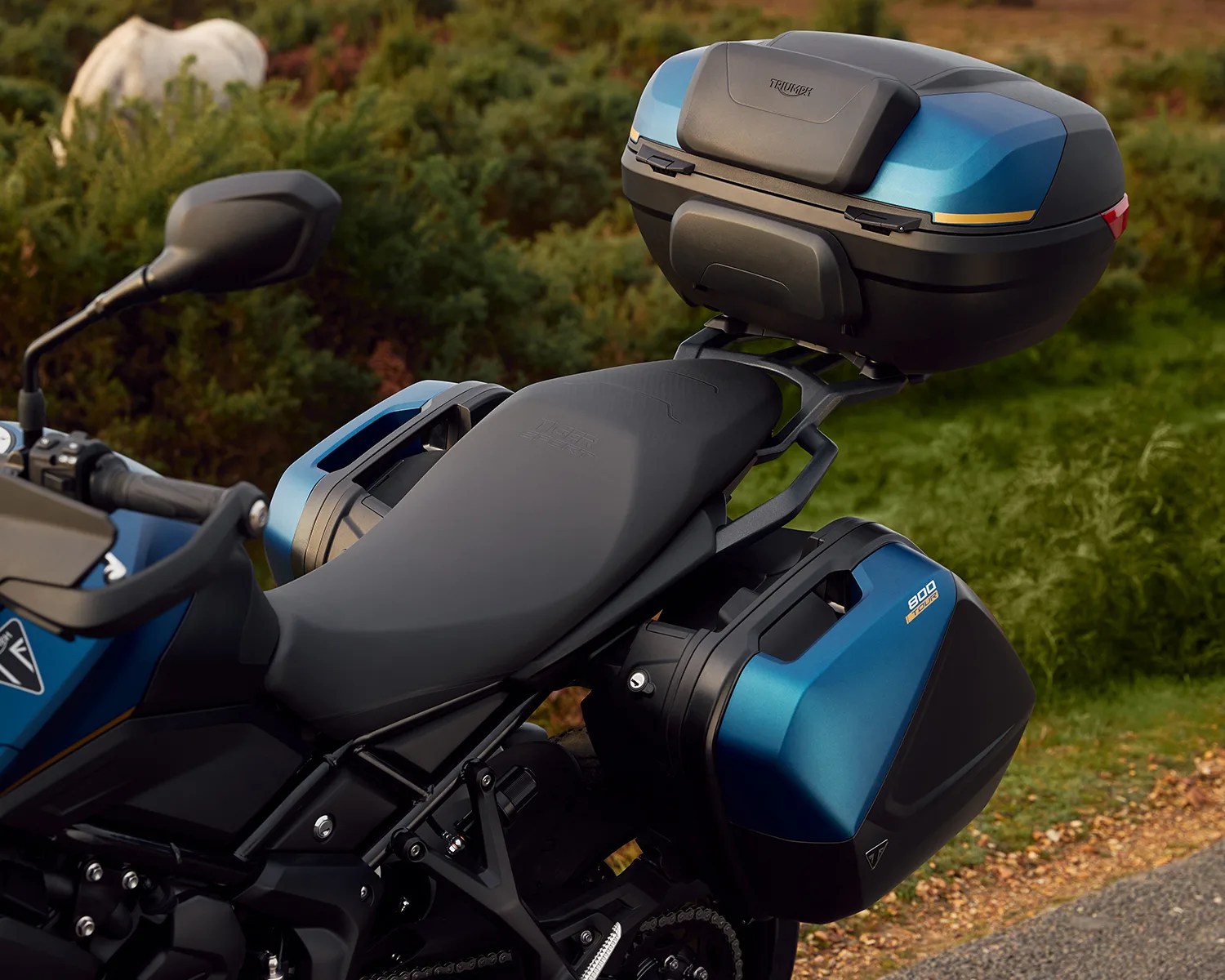 Blue and black Triumph Tiger 800 motorcycle with matching hard side and top luggage cases.