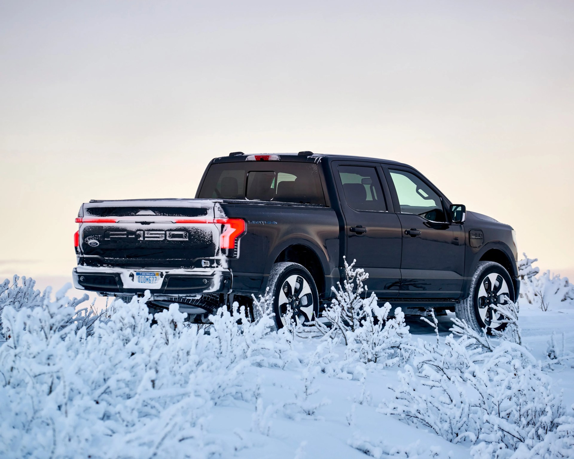 Black Ford F-150 pickup truck with snow on the rear, parked in a snowy landscape with frosted bushes.