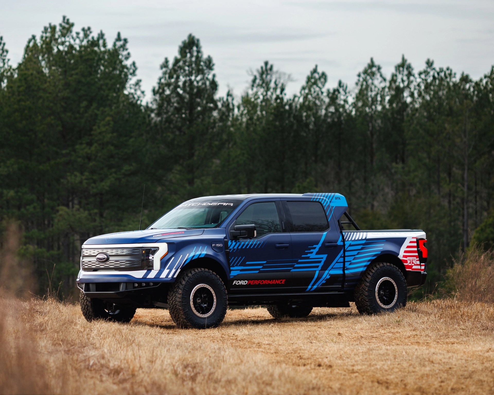 Blue Ford F-150 pickup truck with blue and white racing stripes and "Ford Performance" branding parked on dry grass with pine trees in the background.