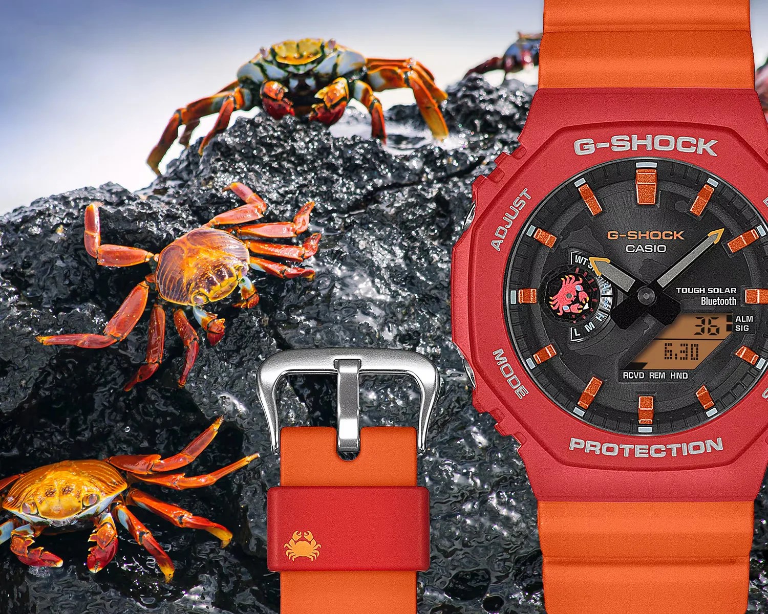Red and orange Casio G-Shock watch with crab motif on orange strap, placed on black volcanic rock with three small crabs.