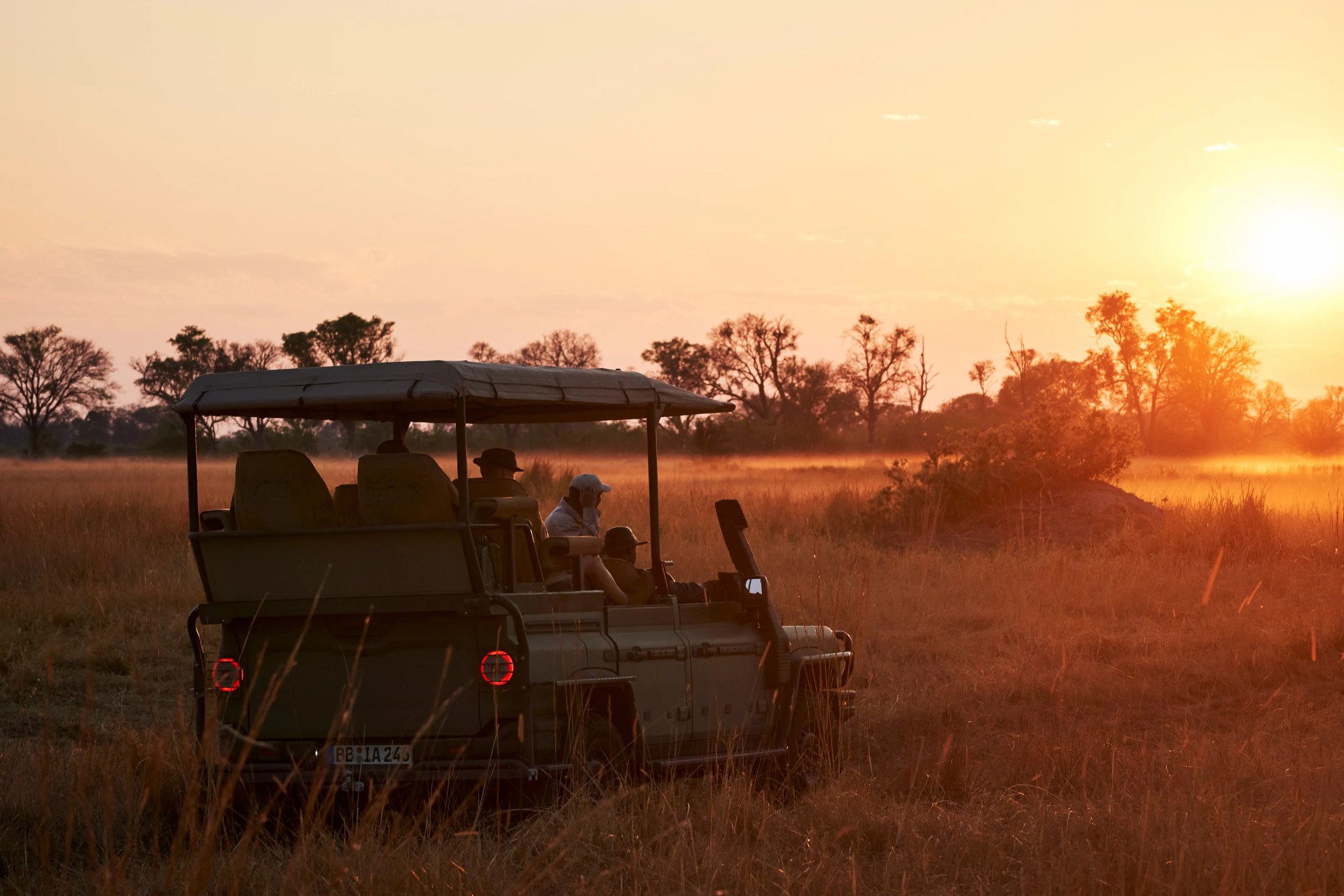 Open safari vehicle with passengers driving through tall grass at sunset in a savanna landscape.