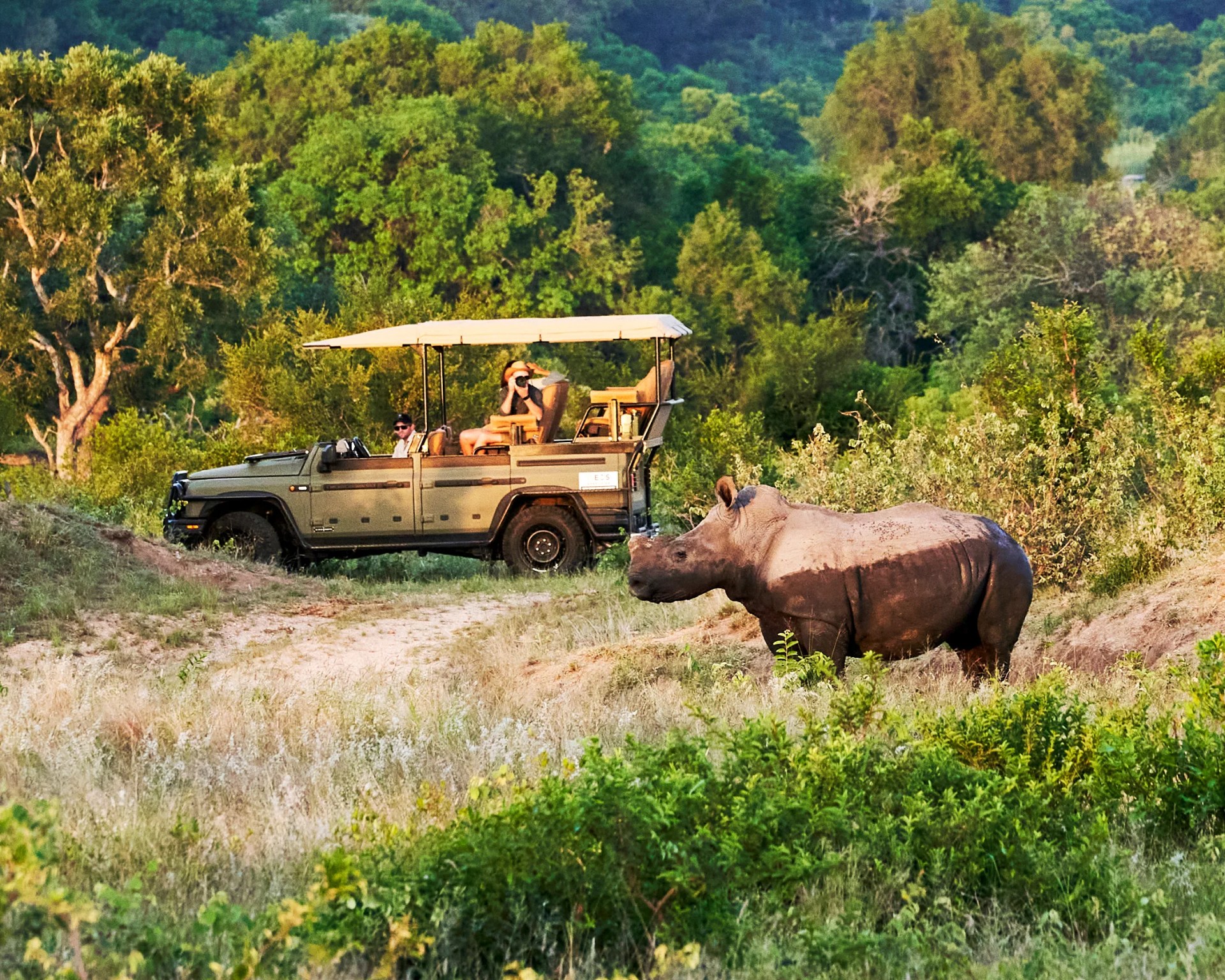 Open safari vehicle with two people observing a muddy rhinoceros in a grassy, wooded area.