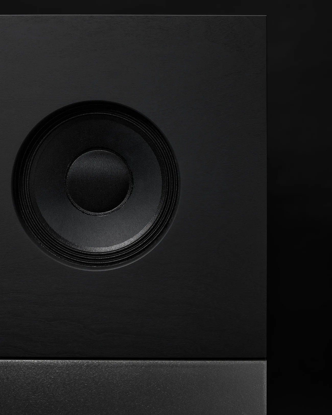 Close-up of a black speaker cone mounted on a black wooden speaker cabinet.
