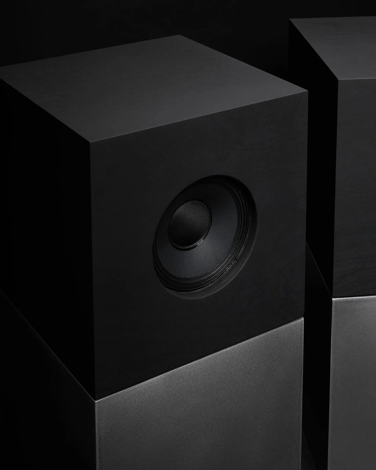 Pair of black floor-standing speakers with a visible woofer on the upper section.
