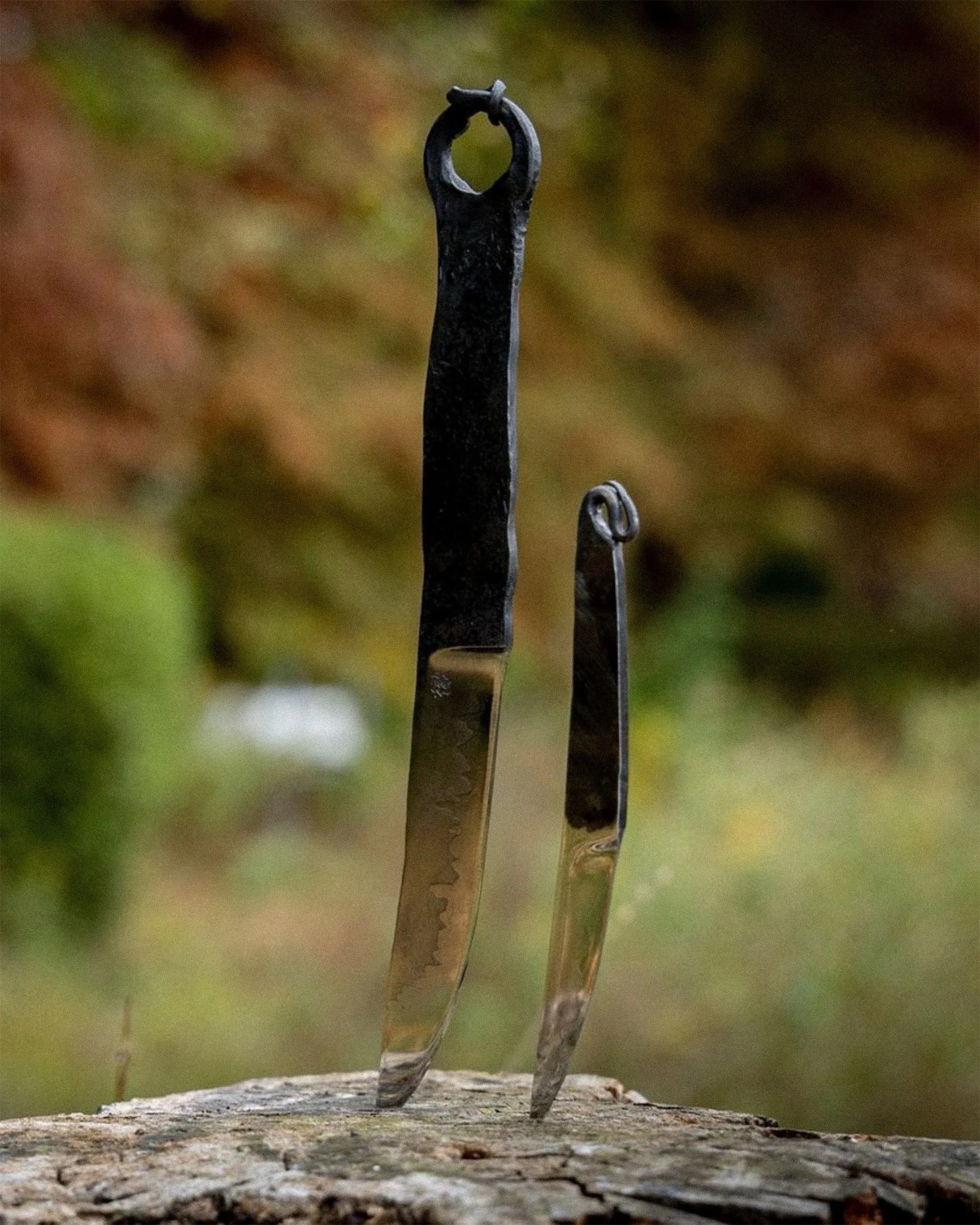 Two rustic knives with black handles and shiny blades stuck upright in a tree stump outdoors.