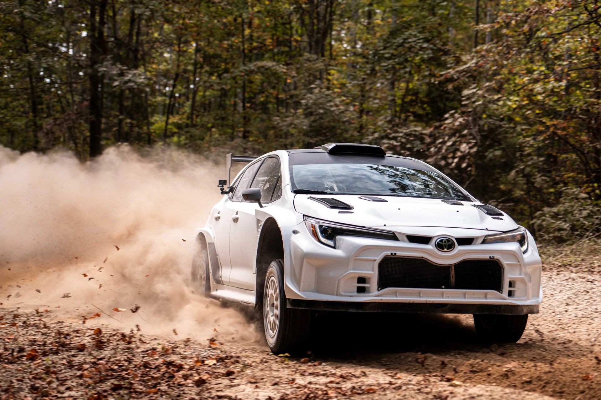 White Toyota rally car kicking up dust on a forest dirt road.