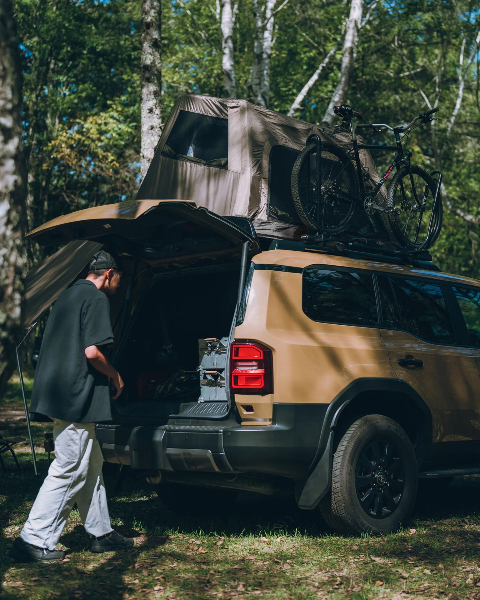 Tan SUV with rooftop tent and black bicycle mounted on top, parked in a forest with a person near the open rear hatch.