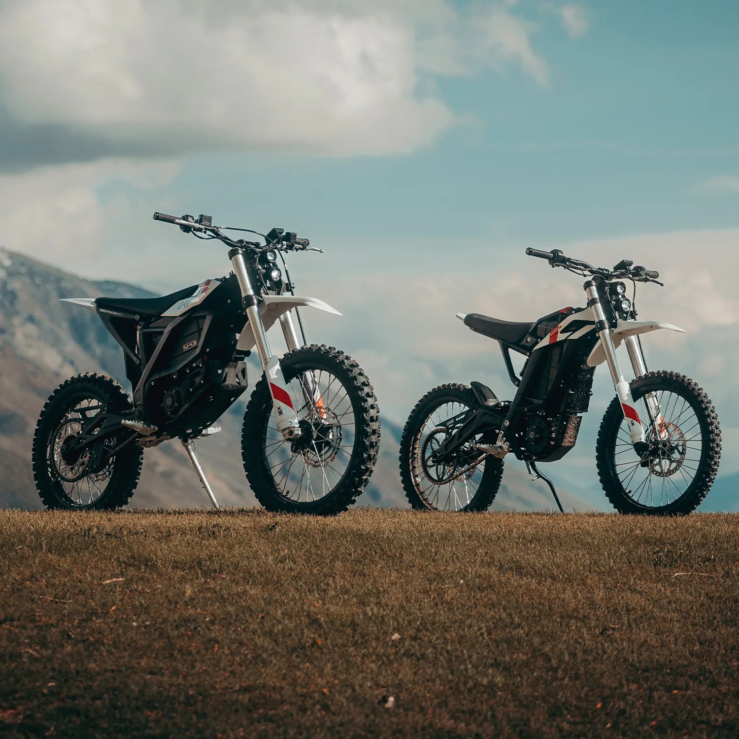 The Best Motorcycles of 2025: Honda, Harley-Davidson, Ducati and More ...
