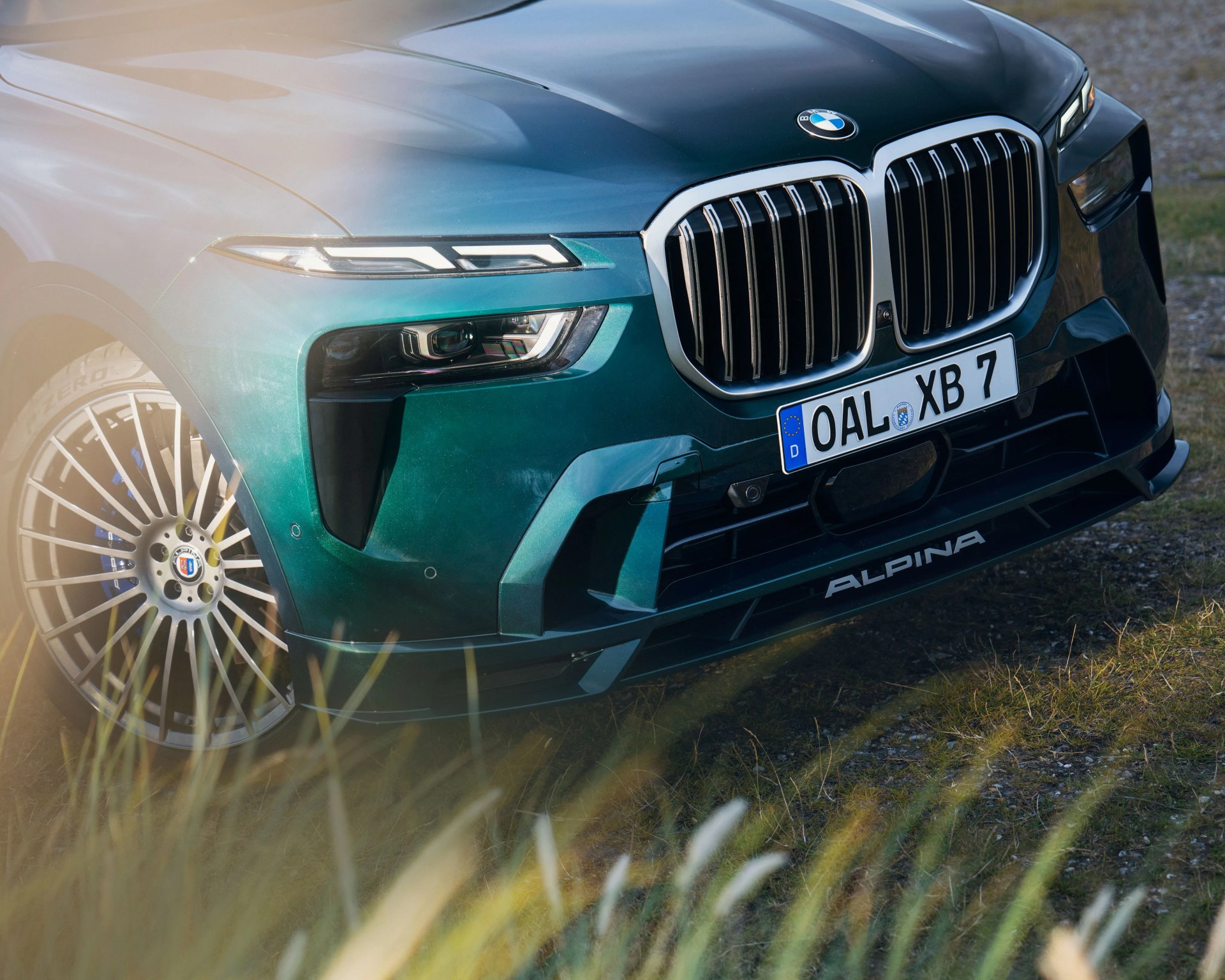 Front view of a dark green Alpina BMW with distinctive kidney grille and multi-spoke alloy wheel on grass.