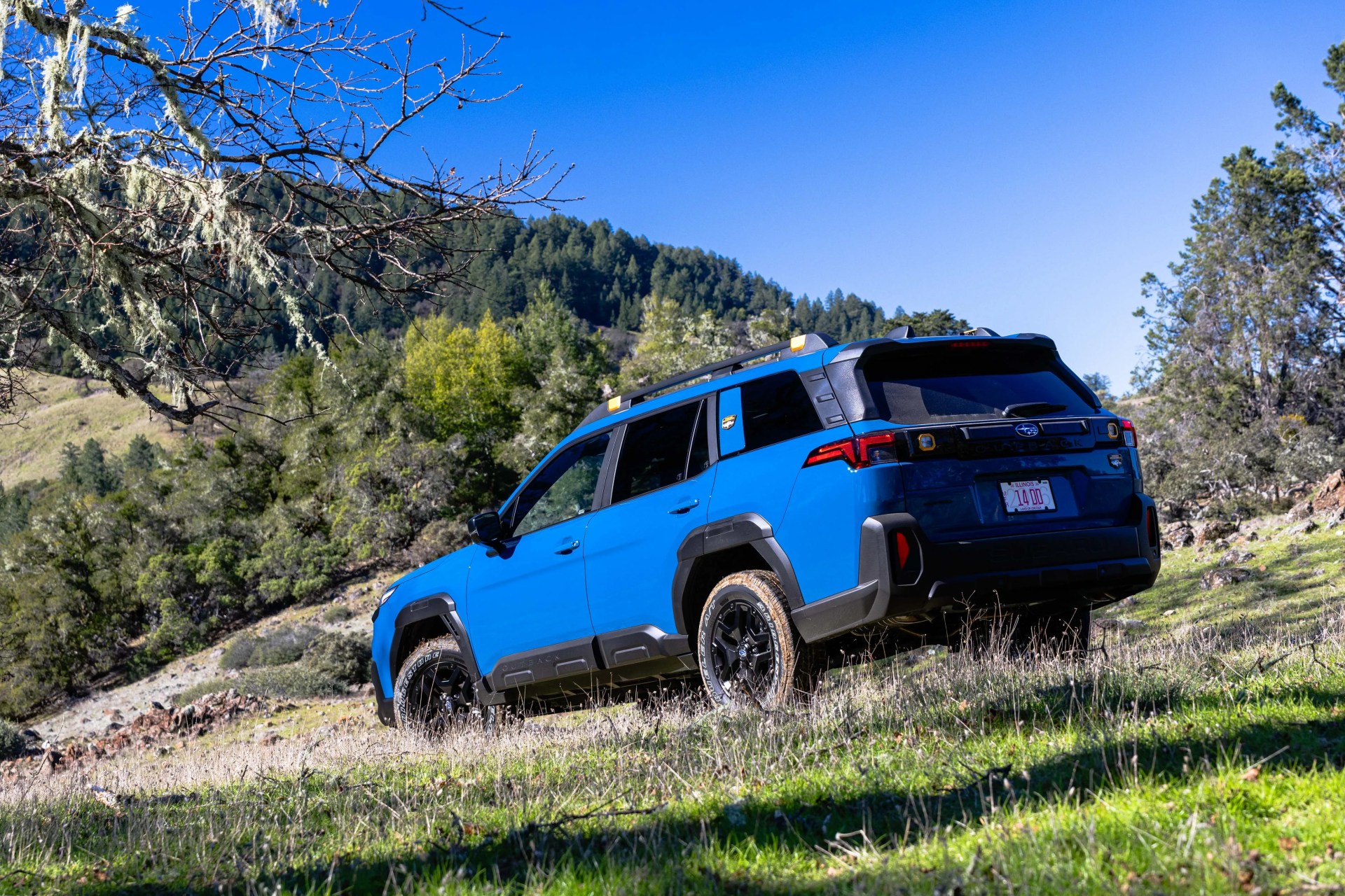 Blue Subaru Outback SUV parked on a grassy hillside with trees and mountains in the background.