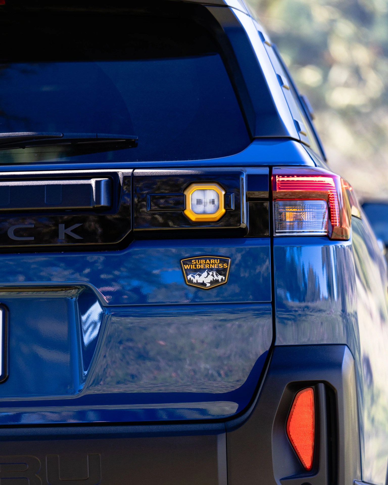 Rear view of a blue Subaru Wilderness vehicle showing taillight, badge, and part of the rear window.