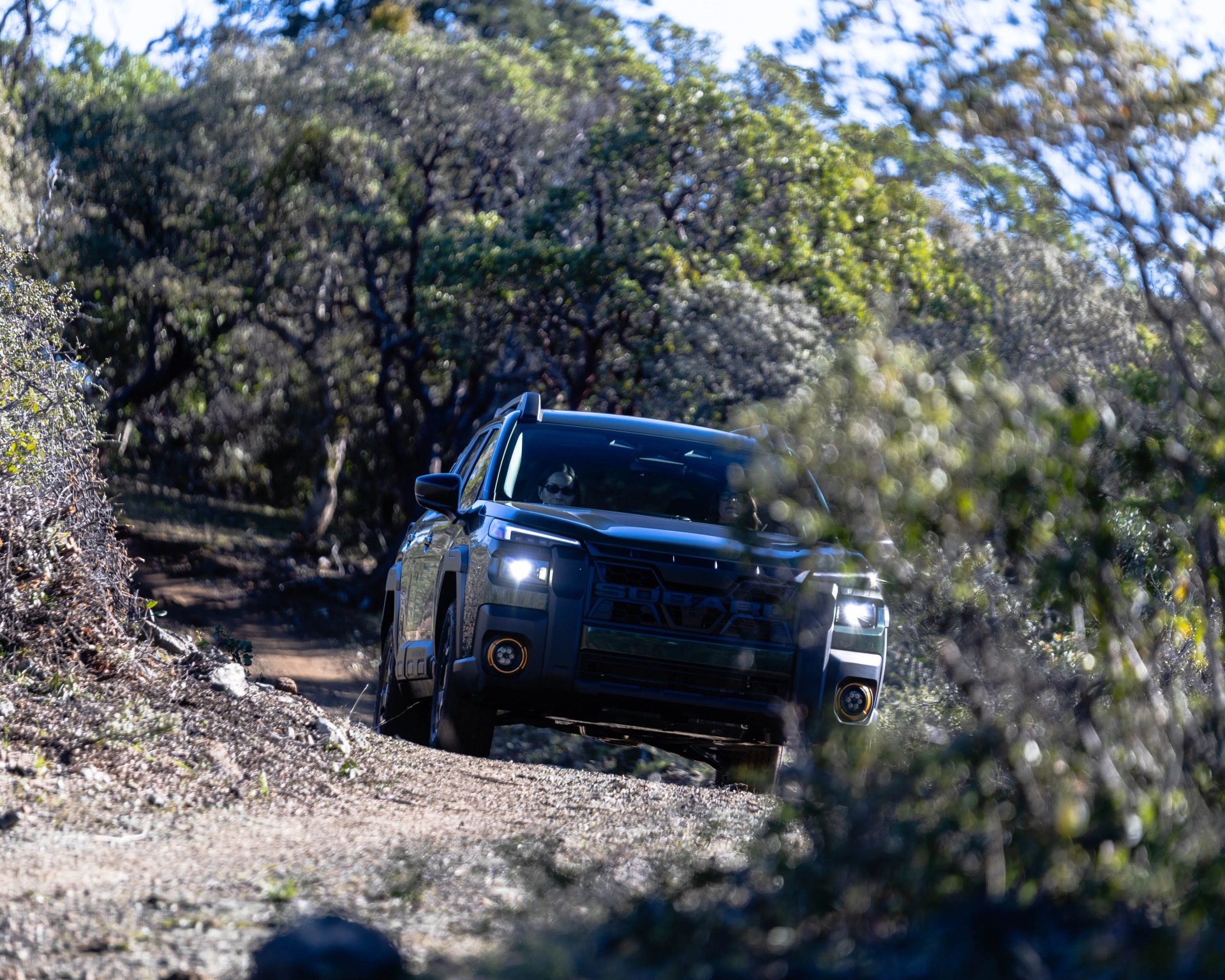 Black Subaru SUV with headlights on driving on a dirt trail surrounded by dense green trees.