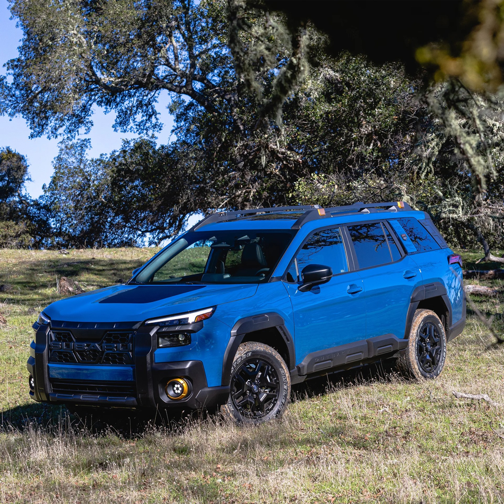 Blue Subaru Outback SUV with black trim and roof rails parked on grassy terrain with trees in the background.