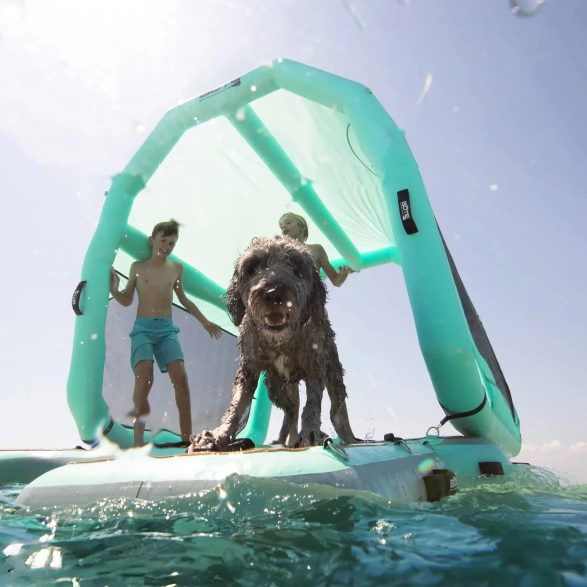 Wet brown dog standing on a turquoise inflatable water platform with two boys in swim trunks behind it.